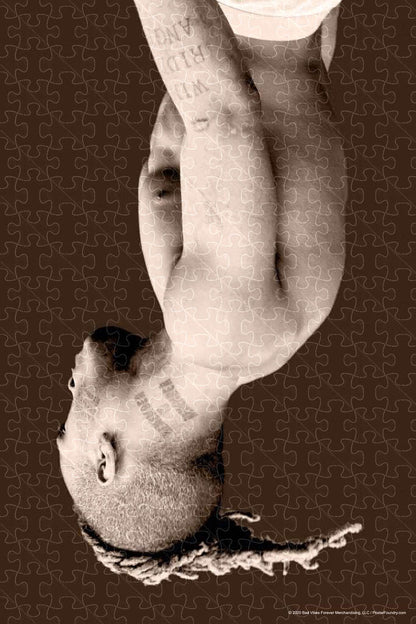 XXXtentacion Album Cover Art Poster puzzles