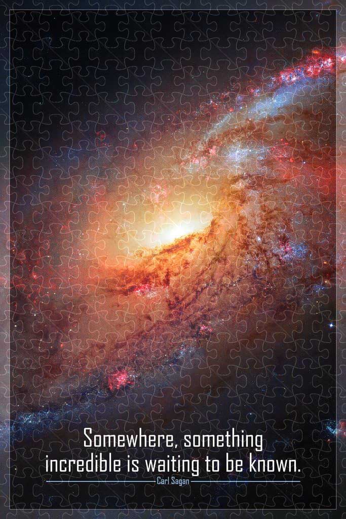 Carl Sagan famous motivational inspirational quote poster puzzle, wooden puzzles for adults  