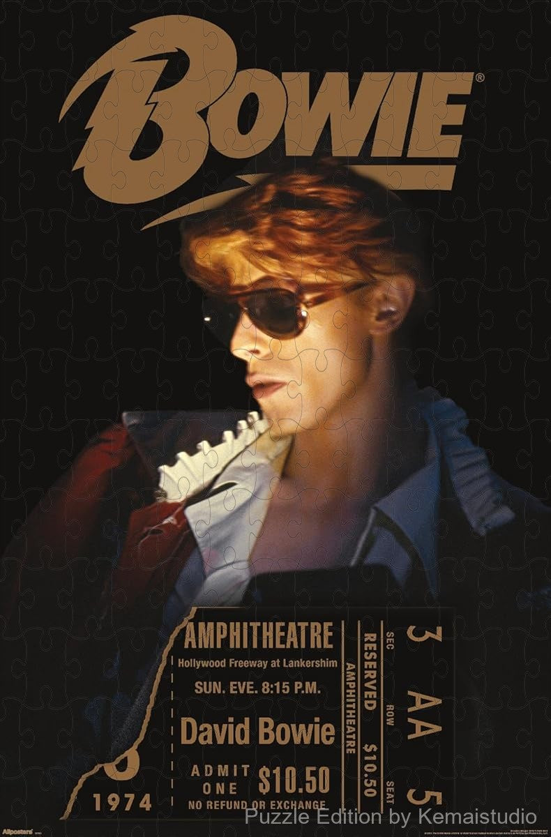 A dramatic puzzle from Bowie's Diamond Dogs LA Tour visuals, great for fans of theatrical rock