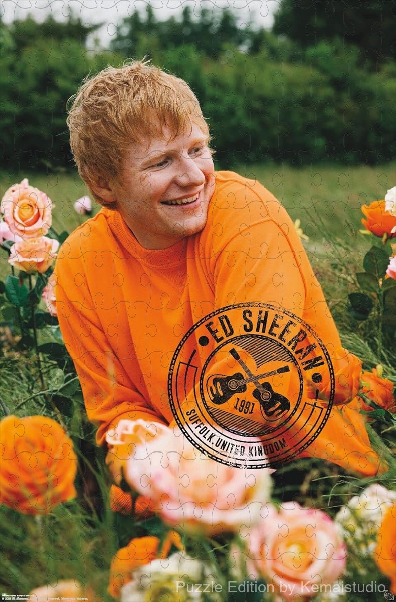 A peaceful and artistic puzzle of Ed Sheeran in a rose field, ideal for collectors and quiet leisure