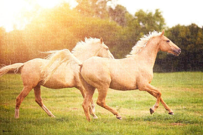 Foal mustang animal poster puzzle, wooden puzzles for adults