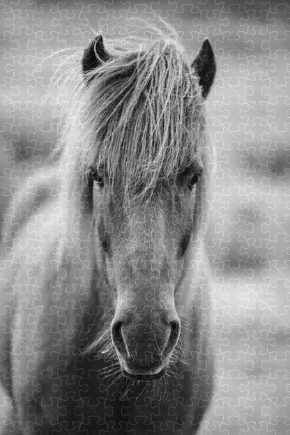 Foal mustang animal poster puzzle, wooden puzzles for adults, image 4