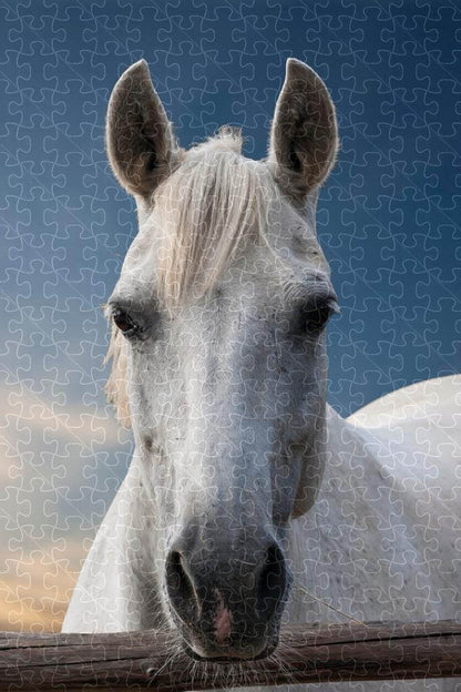 Foal mustang animal poster puzzle, wooden puzzles for adults, image 7