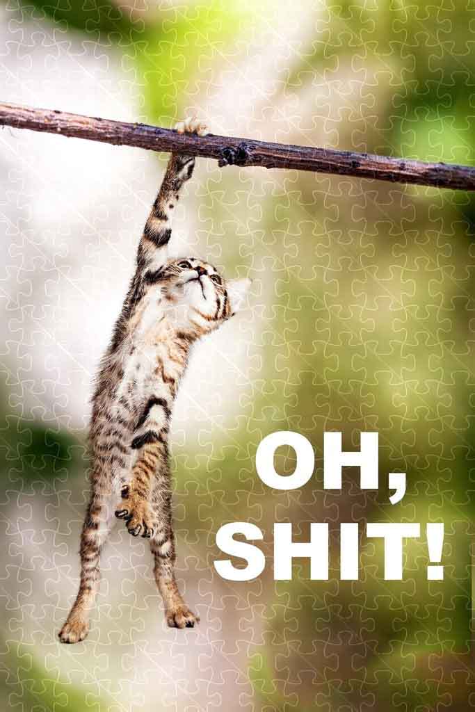 Hang In There cat hanging poster, kitten picture jigsaw puzzle for adults