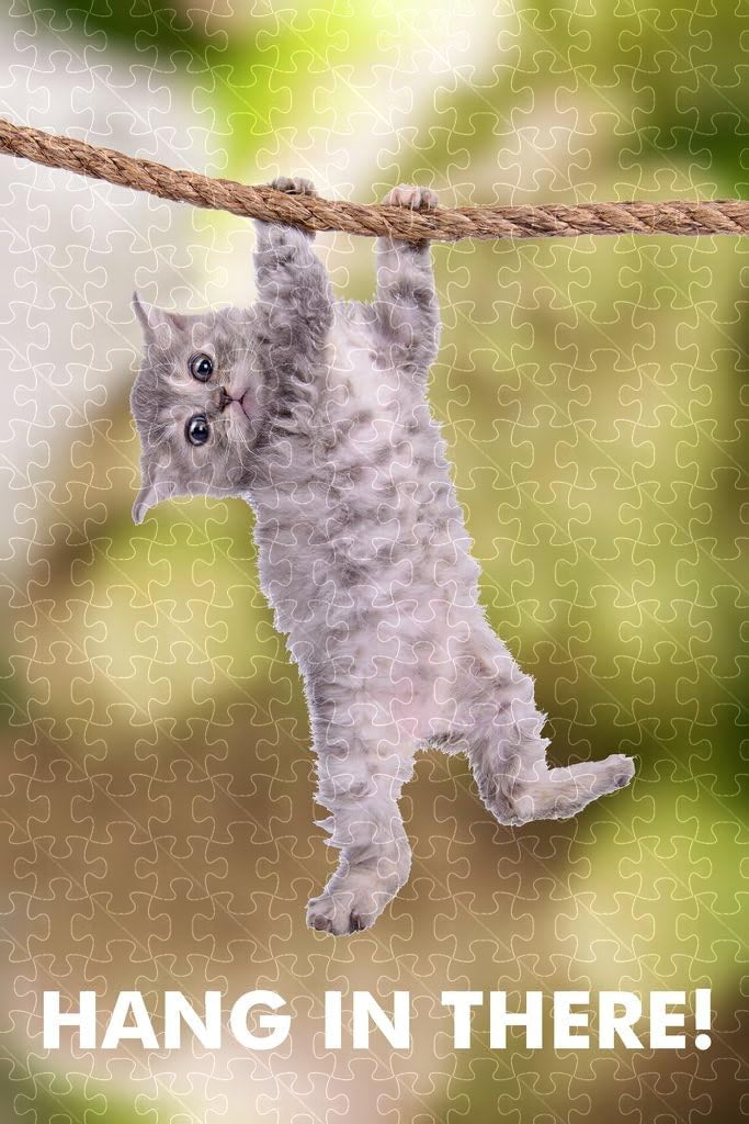 Hang In There hanging cat kitten picture poster, jigsaw puzzle for adults