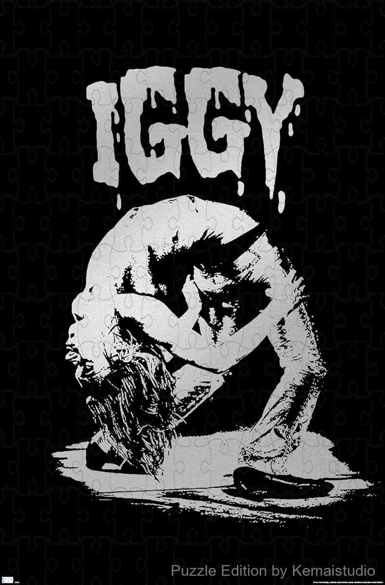 A powerful black and white photo of Iggy Pop captured mid-performance for fans of classic punk