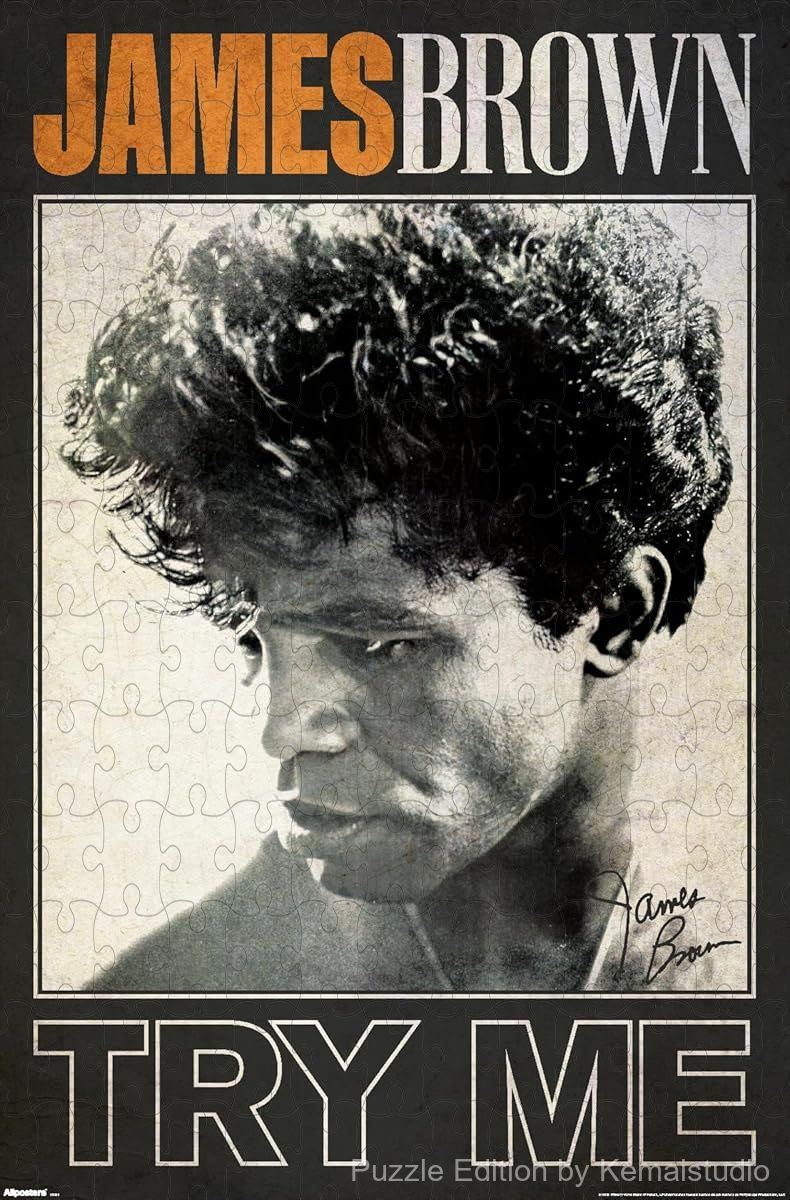 A vintage-style puzzle of James Brown themed around his track Try Me, ideal for collectors