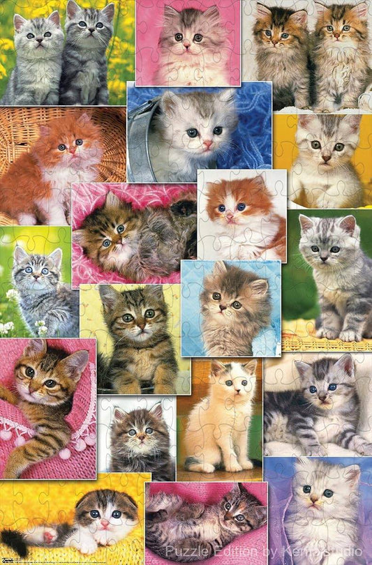 Adorable kittens by Keith Kimberlin arranged in a heartwarming collage