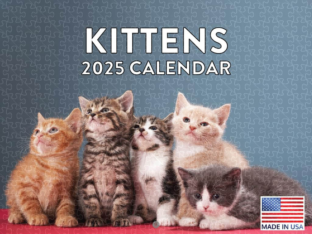 Kitten 2025 monthly wall calendar poster, jigsaw puzzle for adults