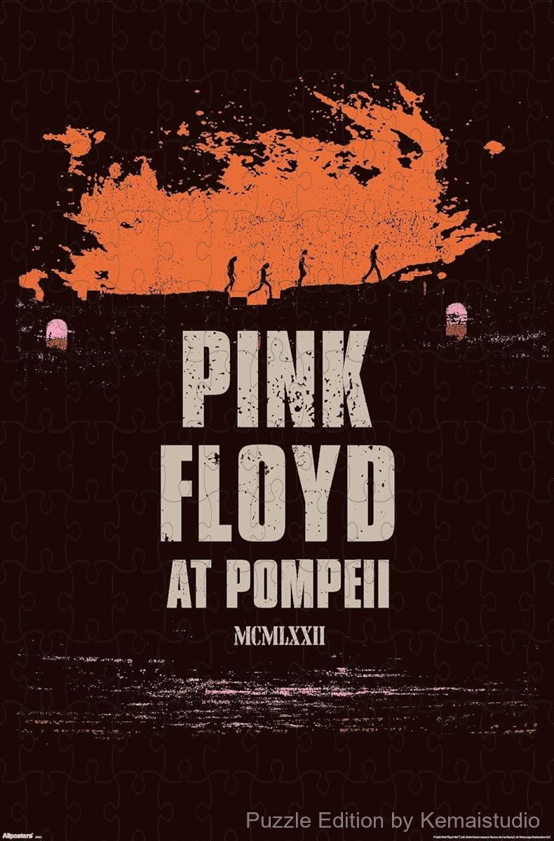 A nostalgic puzzle based on the Pink Floyd Pompeii album visuals, perfect for music collectors
