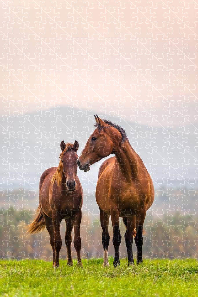 Ranch horse, wooden puzzles for adults