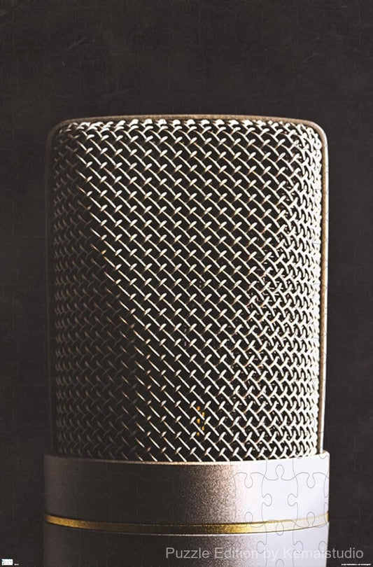 A stylish illustration of a vintage microphone in Tom Quartermaine's signature retro style