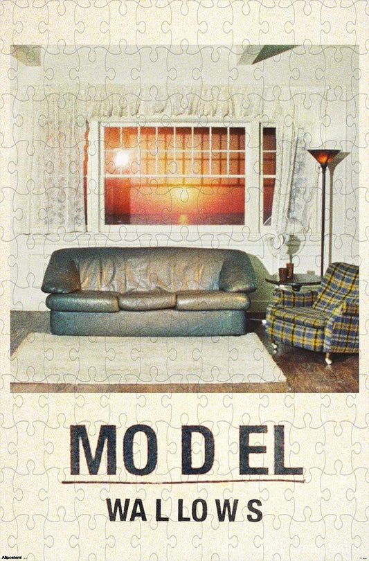 A visual puzzle based on the Wallows' Model album visuals, great for decor and fans