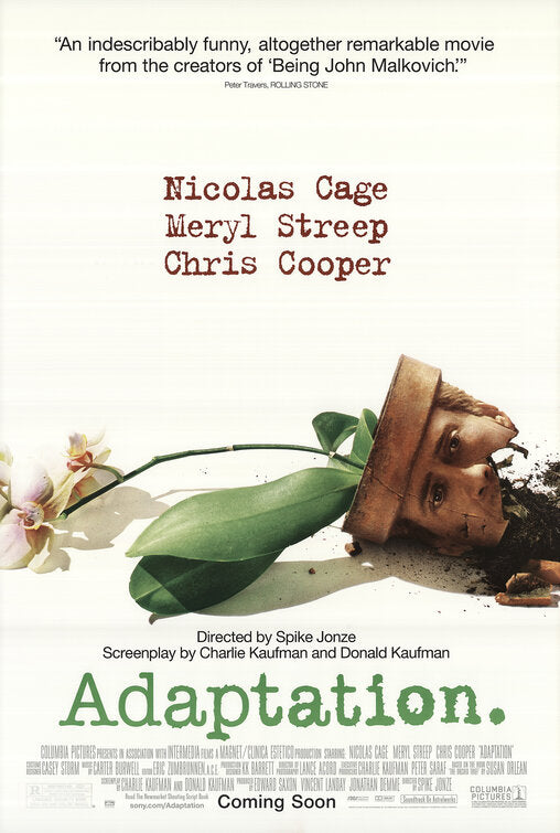 the movie poster: Adaptation (2002)