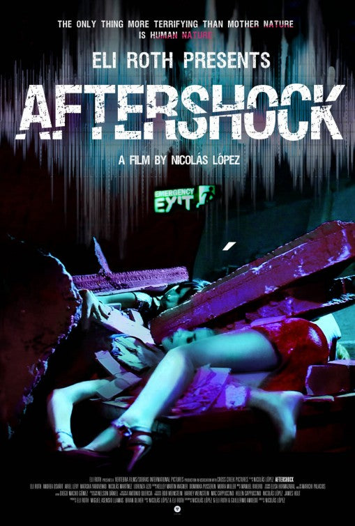 1000 piece jigsaw puzzle for the movie poster: Aftershock (2013)
