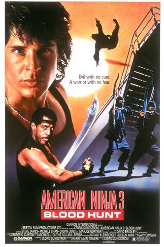 the movie poster: American Ninja 3: Blood Hunt (1989)