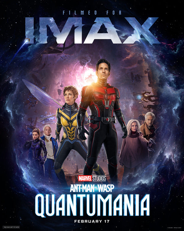 1000 piece jigsaw puzzle for the movie poster: Ant-Man and the Wasp: Quantumania (2023) ver11