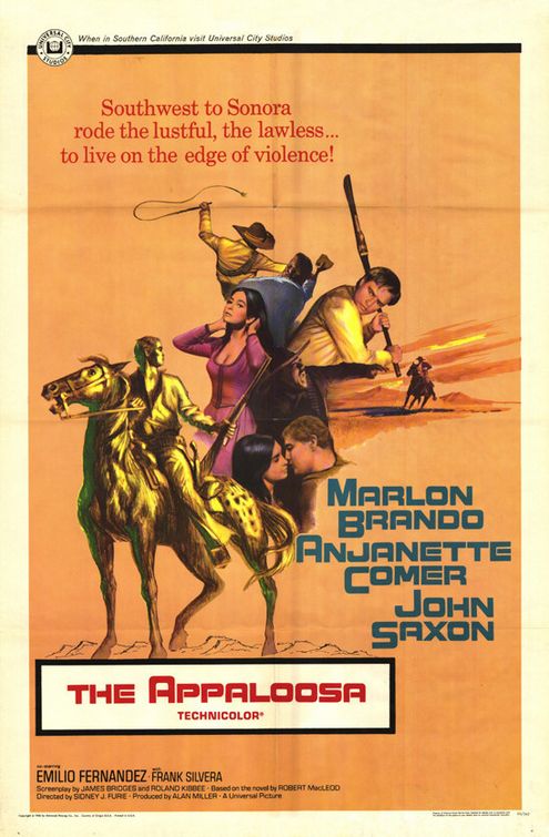 the movie poster: The Appaloosa (1966)