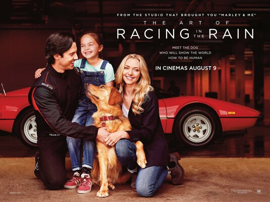 1000 piece jigsaw puzzle for the movie poster: The Art of Racing in the Rain (2019) ver2