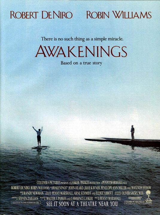 the movie poster: Awakenings (1990)