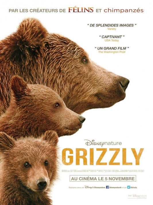 1000 piece jigsaw puzzle for the movie poster: Bears (2014) ver3