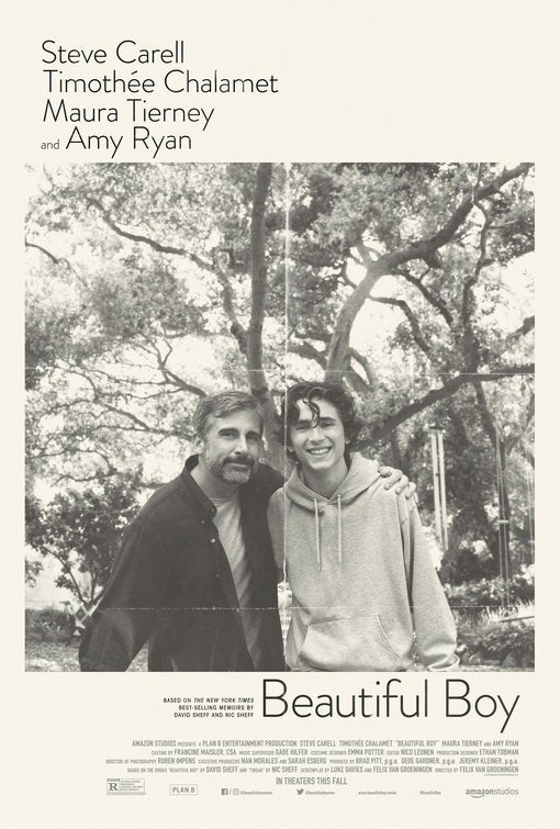 1000 piece jigsaw puzzle for the movie poster: Beautiful Boy (2018)