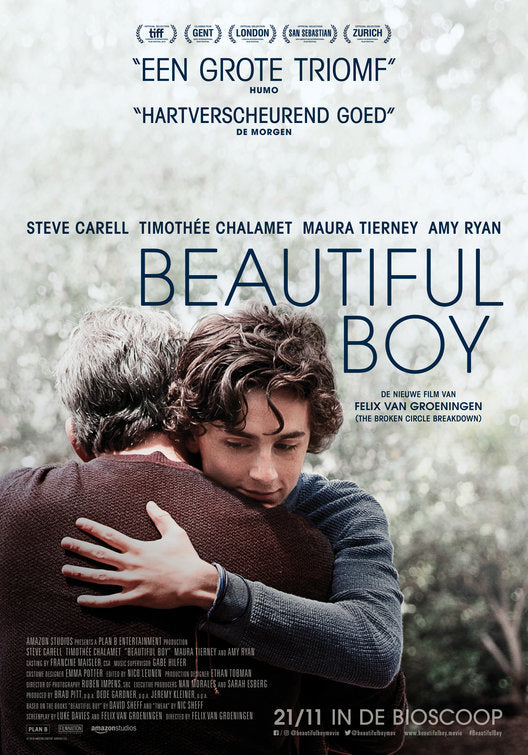 1000 piece jigsaw puzzle for the movie poster: Beautiful Boy (2018) ver4
