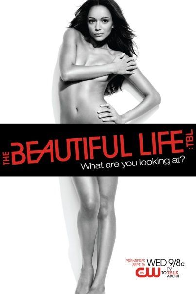 1000 piece jigsaw puzzle for tv poster: The Beautiful Life: TBL