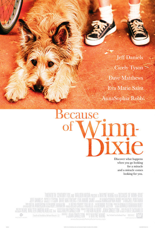 the movie poster: Because of Winn-Dixie (2005)