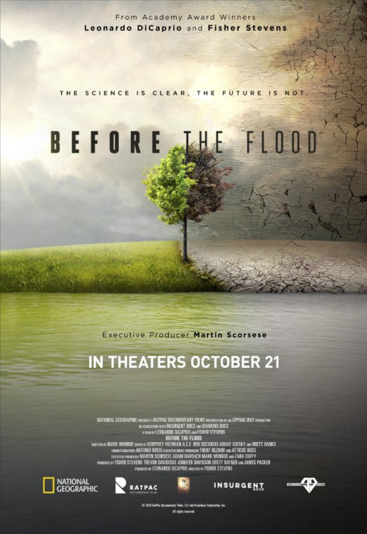 1000 piece jigsaw puzzle for the movie poster: Before the Flood (2016)