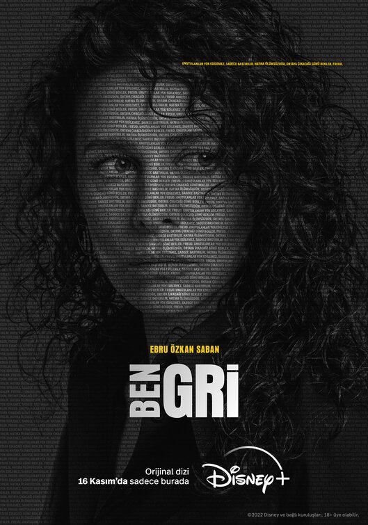 1000 piece jigsaw puzzle for tv poster: Ben Gri, ver6