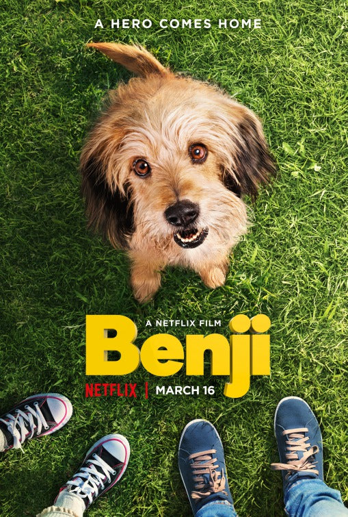 1000 piece jigsaw puzzle for tv poster: Benji