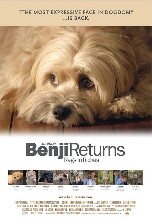 the movie poster: Benji Returns: Rags to Riches (2004)