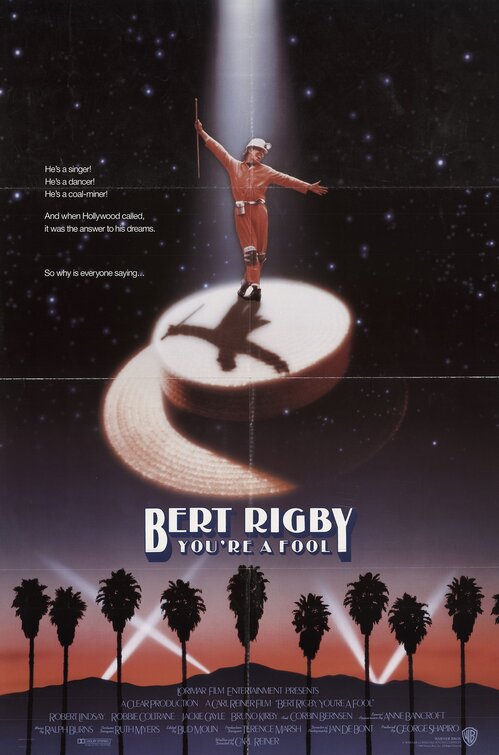 the movie poster: Bert Rigby, You're A Fool (1989)