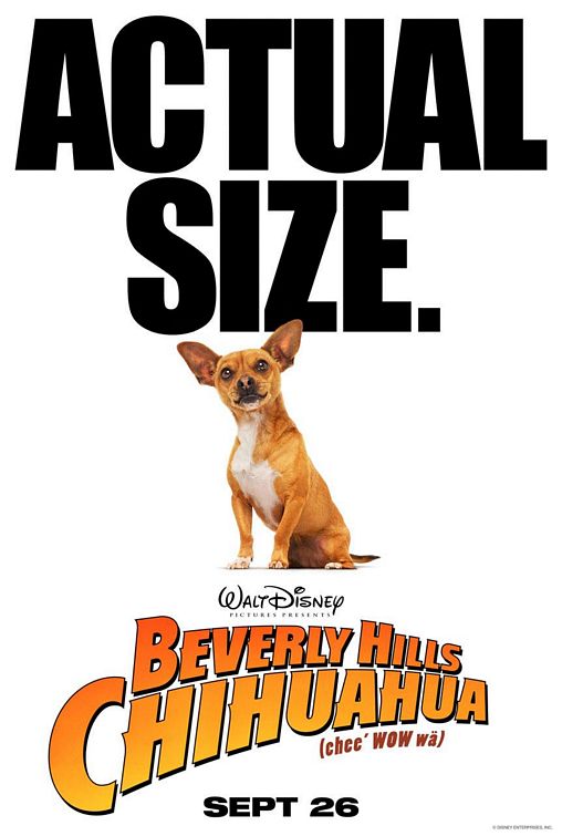 the movie poster: Beverly Hills Chihuahua (2008) ver3