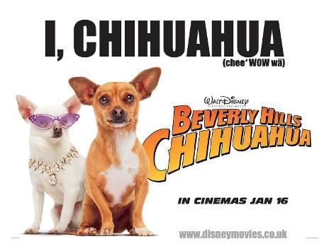 the movie poster: Beverly Hills Chihuahua (2008) ver5