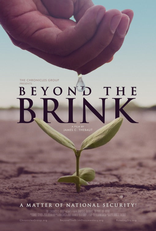 1000 piece jigsaw puzzle for the movie poster: Beyond the Brink (2017)