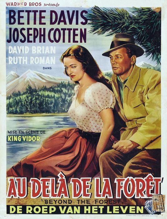 the movie poster: Beyond the Forest (1949) ver3