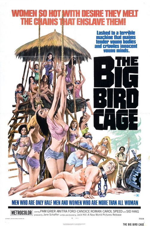 the movie poster: The Big Bird Cage (1972)