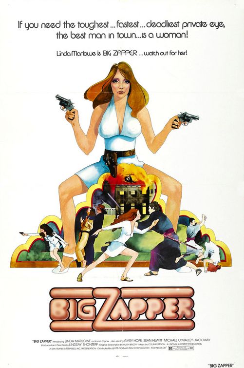the movie poster: Big Zapper (1973)