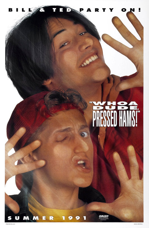 the movie poster: Bill & Ted's Bogus Journey (1991) ver1
