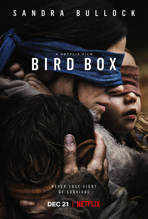 1000 piece jigsaw puzzle for tv poster: Bird Box