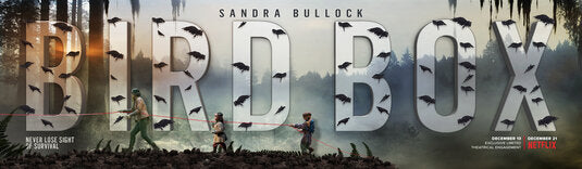 1000 piece jigsaw puzzle for tv poster: Bird Box, ver2