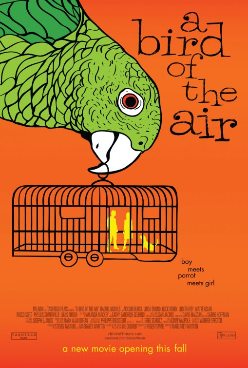 1000 piece jigsaw puzzle for the movie poster: A Bird of the Air (2011)