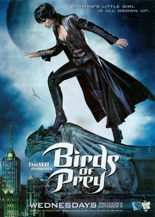 1000 piece jigsaw puzzle for tv poster: Birds of Prey