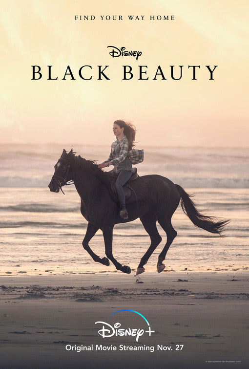 1000 piece jigsaw puzzle for tv poster: Black Beauty