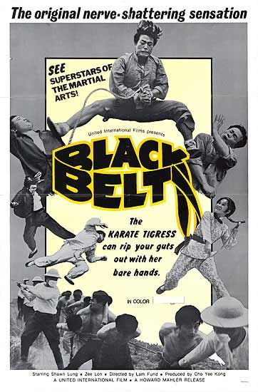 the movie poster: Black Belt (1974) ver2