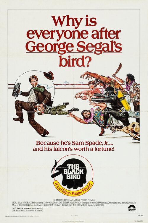 the movie poster: The Black Bird (1975)