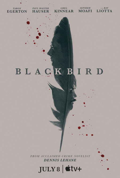 1000 piece jigsaw puzzle for tv poster: Black Bird