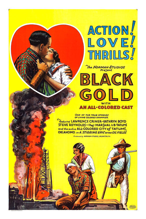 the movie poster: Black Gold (1928)